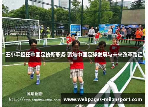 王小平担任中国足协新职务 聚焦中国足球发展与未来改革路径