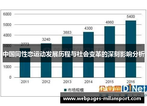 中国同性恋运动发展历程与社会变革的深刻影响分析