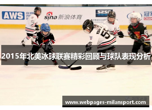 2015年北美冰球联赛精彩回顾与球队表现分析